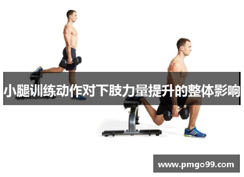 小腿训练动作对下肢力量提升的整体影响